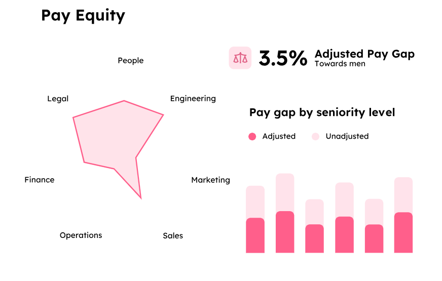 3 - Example of pay equity model